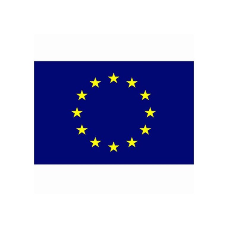 Nuovo regolamento europeo UE 2019/1781 sull’efficienza minima dei motori elettrici