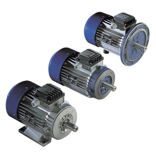 Three phase squirrel cage induction motors - M.G.M. Motori Elettrici S.p.a.