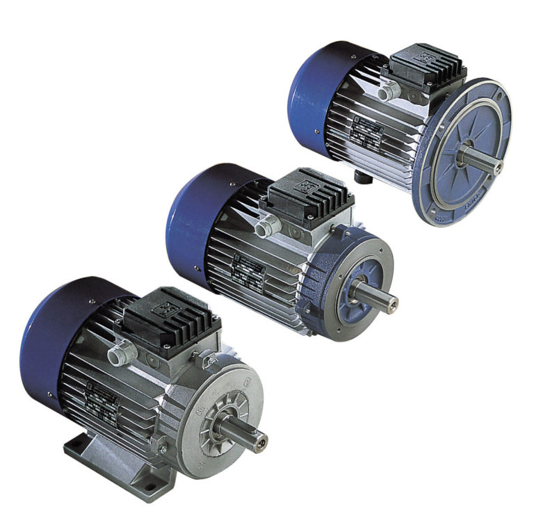 Three phase squirrel cage induction motors M.G.M. Motori Elettrici S.p.a.